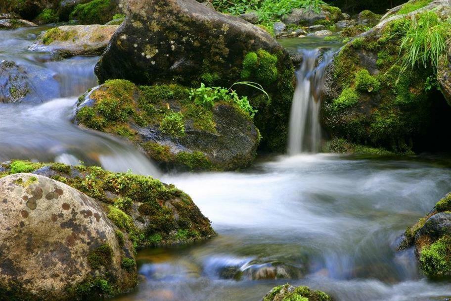 Apartmán Pod Rokem Sušice Exteriér fotografie
